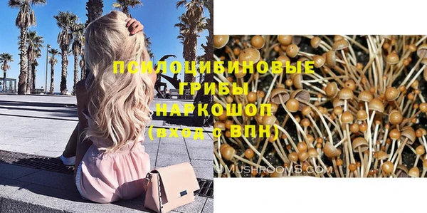 mdpv Надым