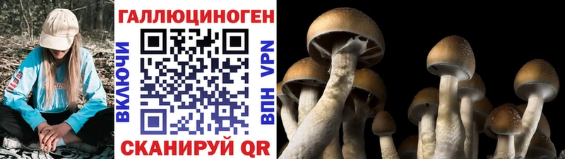 Псилоцибиновые грибы GOLDEN TEACHER  как найти наркотики  Нытва 